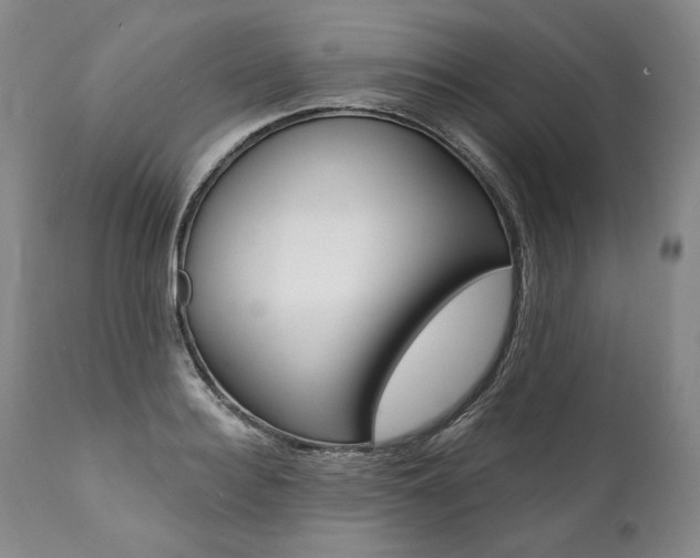 X0000112000940200908031043