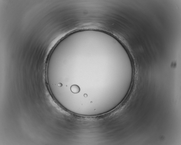 X0000112000941200908031043
