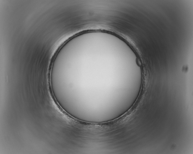 X0000112000943200908031043