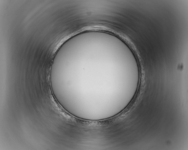 X0000112000945200908031043