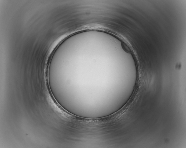 X0000112000947200908031043