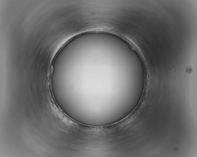 X0000112000948200908031043