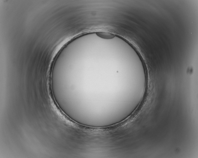 X0000112000949200908031043