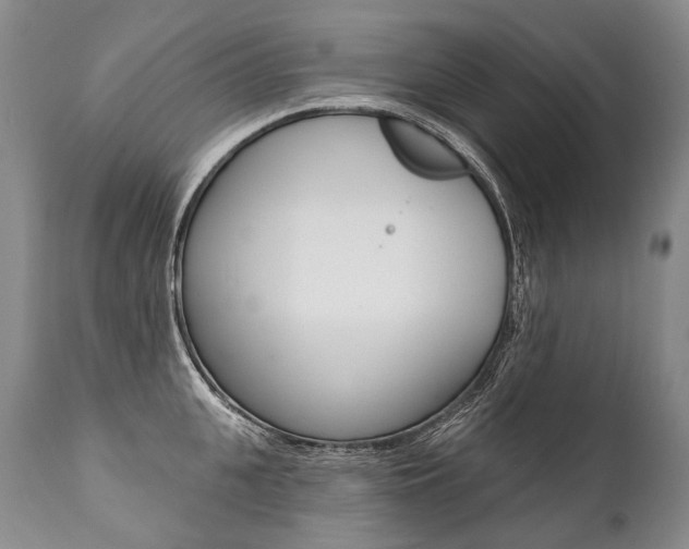 X0000112000951200908031043