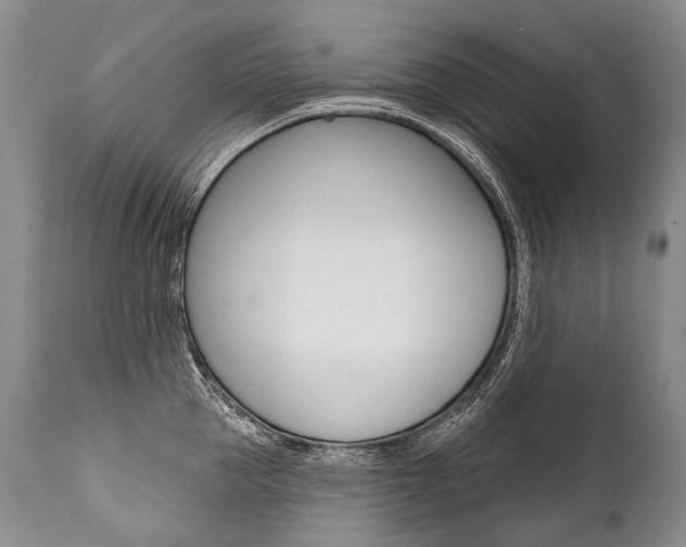 X0000112000953200908031043
