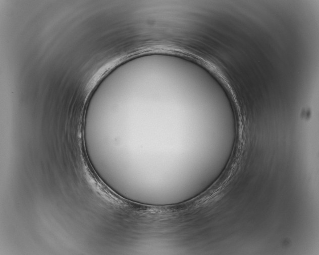X0000112000954200908031043