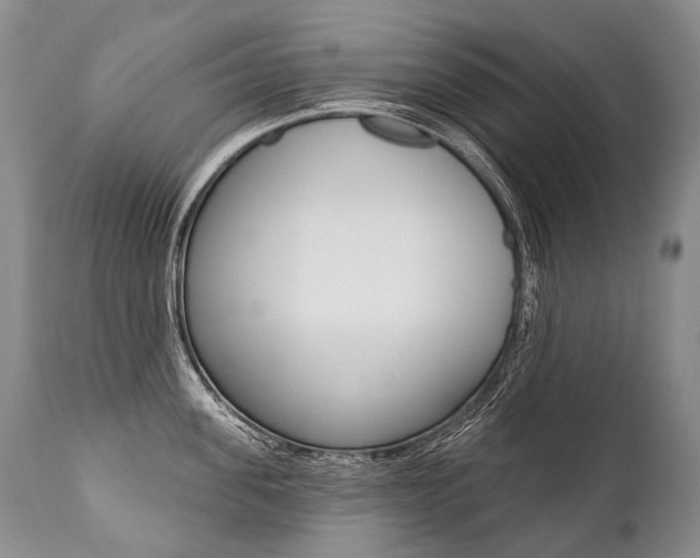 X0000112000955200908031043