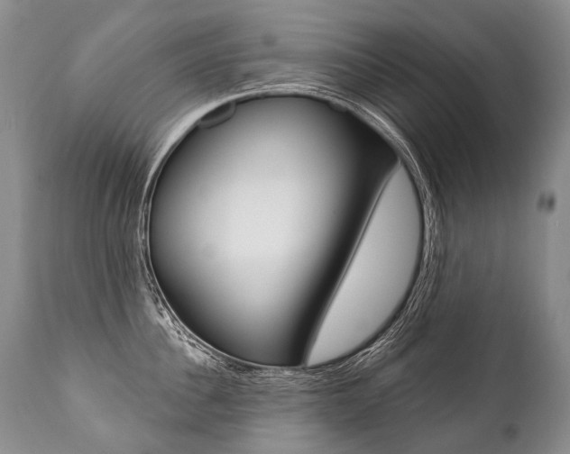 X0000112000956200908031043