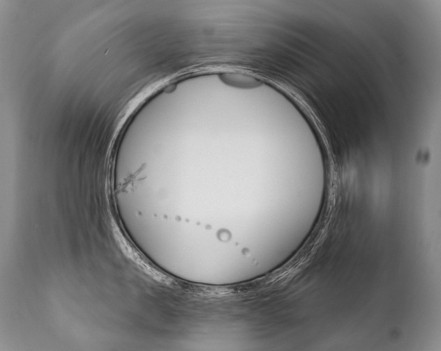 X0000112000957200908031043