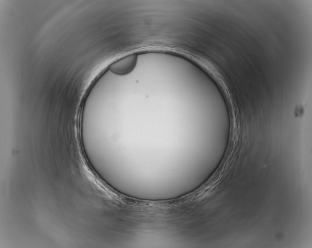 X0000112000958200908031043
