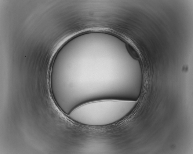 X0000112000959200908031043