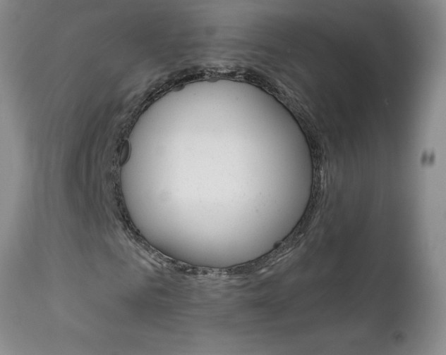 X0000112000961200908031042