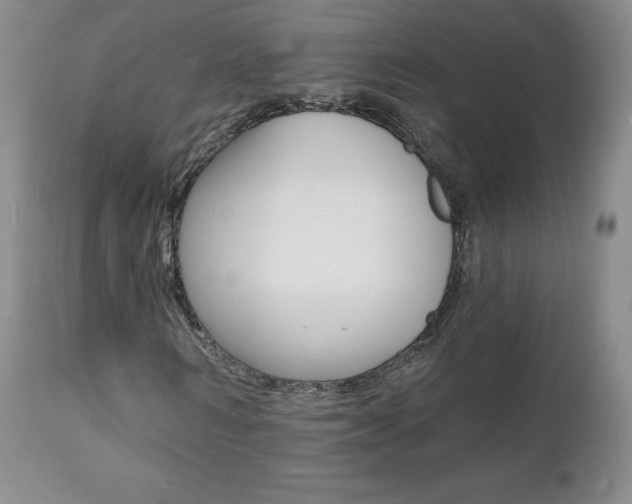 X0000112000962200908031042