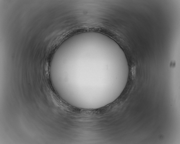 X0000112000963200908031042