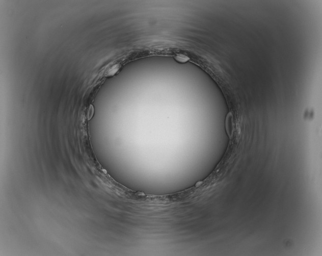X0000112000964200908031042