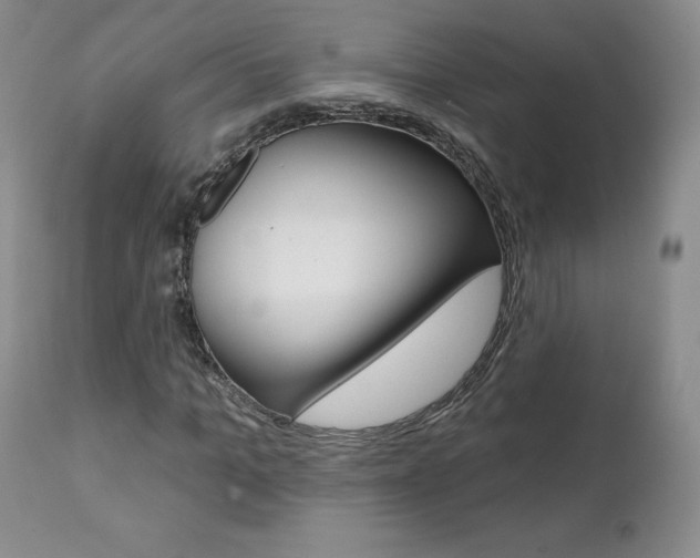 X0000112000965200908031042
