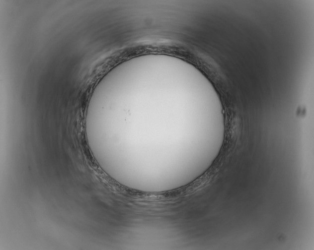 X0000112000966200908031042