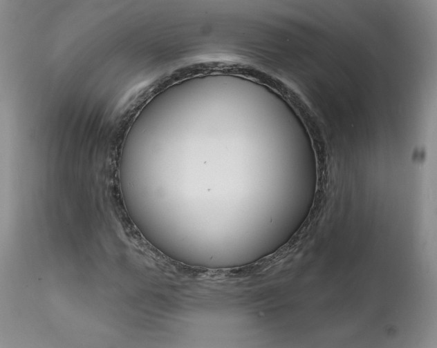 X0000112000967200908031042