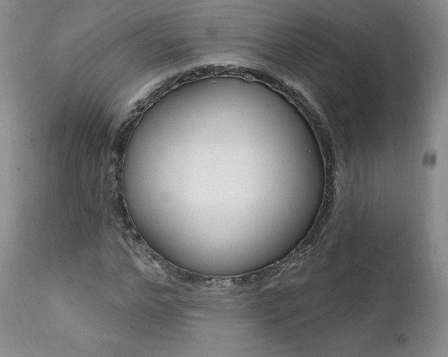 X0000112000968200908031042