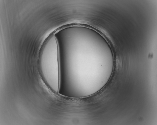 X0000112000972200908031042