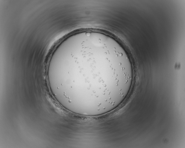 X0000112000974200908031042