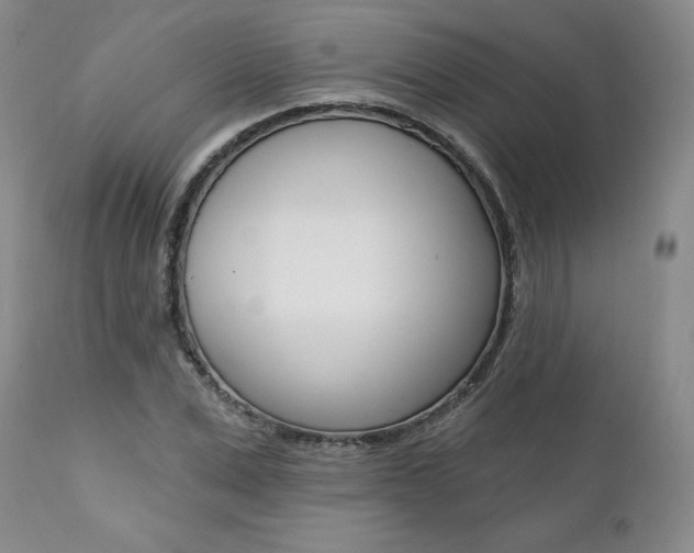 X0000112000975200908031042