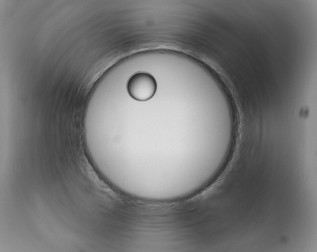 X0000112000977200908031042