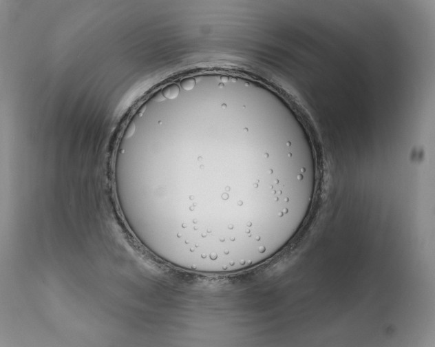 X0000112000978200908031042
