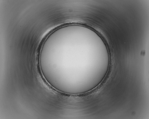 X0000112000983200908031042