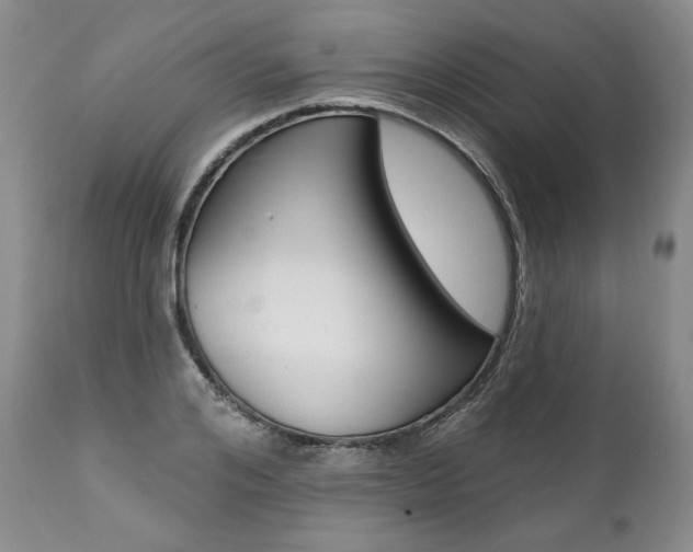 X0000112000984200908031042