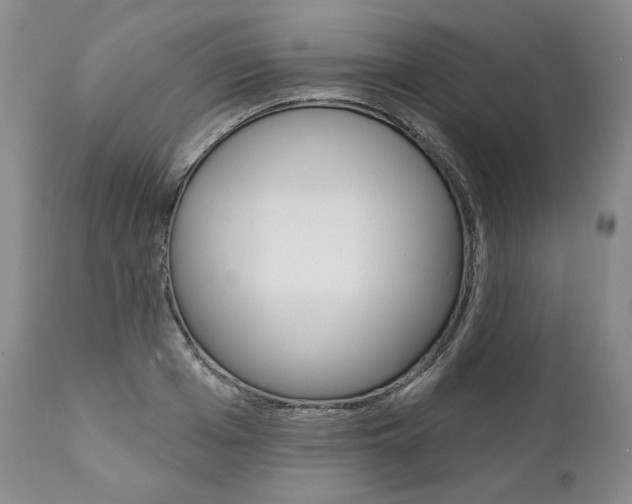 X0000112000985200908031042
