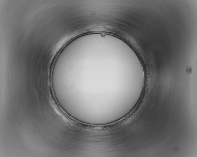 X0000112000986200908031042