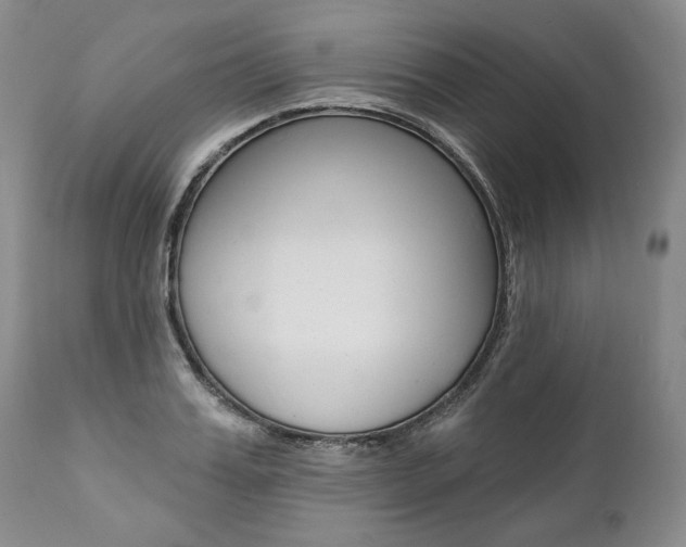 X0000112000987200908031042