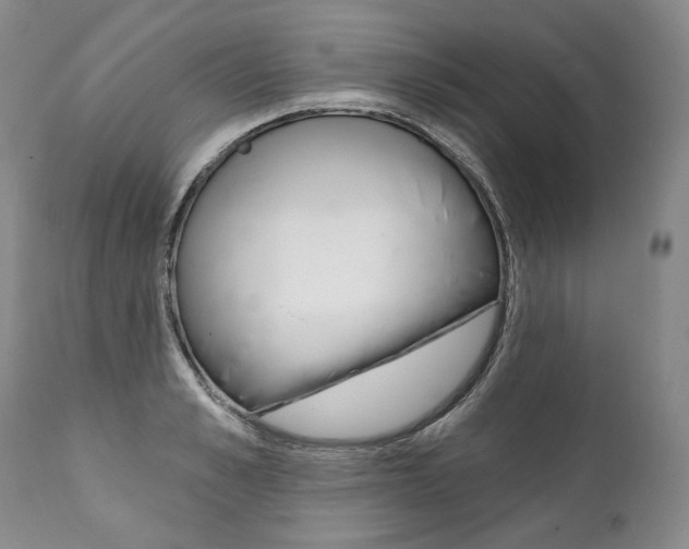 X0000112000989200908031042