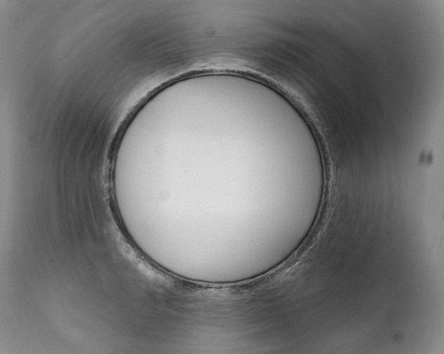 X0000112000990200908031042
