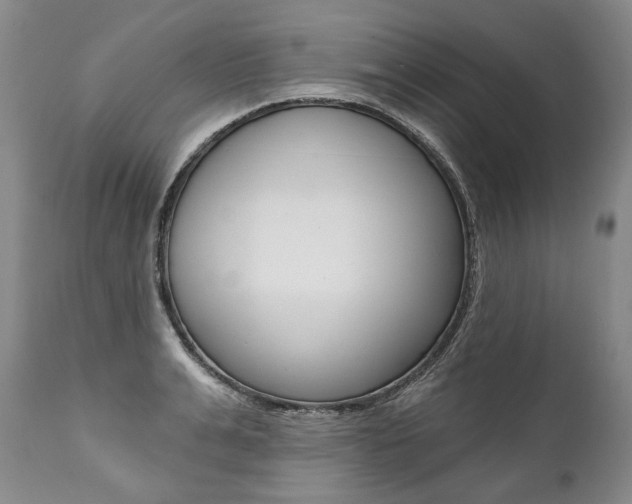 X0000112000991200908031042