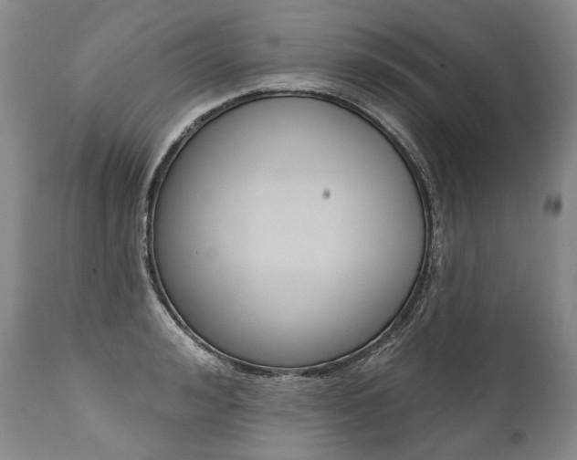 X0000112000992200908031042
