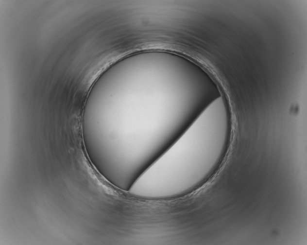 X0000112000993200908031042