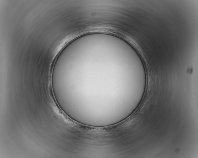 X0000112000994200908031042
