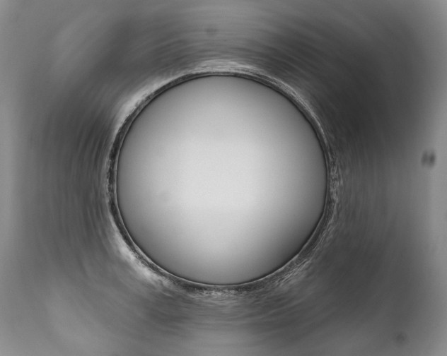 X0000112000995200908031042