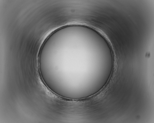 X0000112000996200908031042
