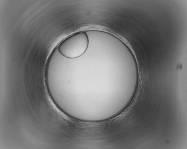 X0000112000997200908031042