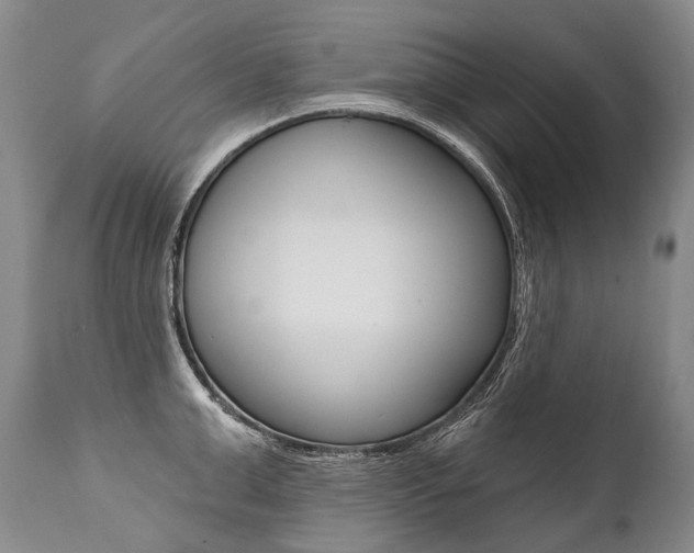 X0000112000999200908031042