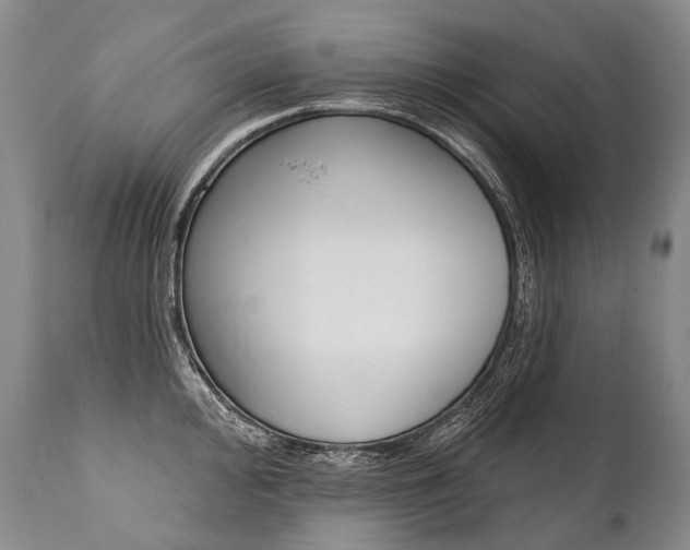 X0000112001000200908031042