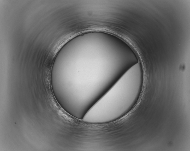 X0000112001001200908031042