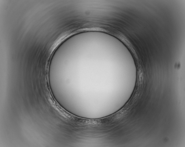 X0000112001002200908031042