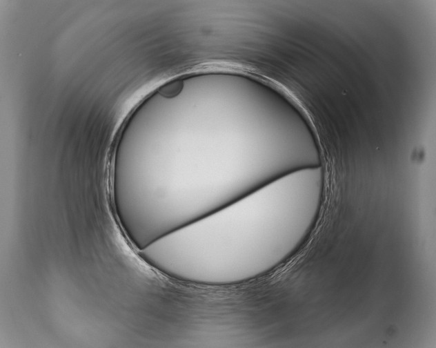 X0000112001003200908031042