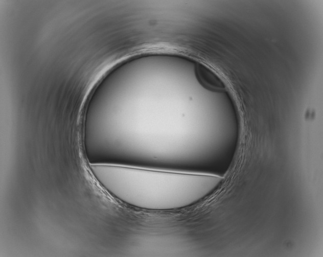 X0000112001008200908031041