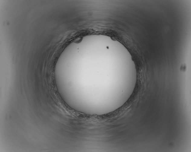 X0000112001009200908031041
