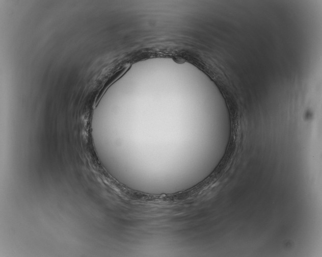 X0000112001010200908031041